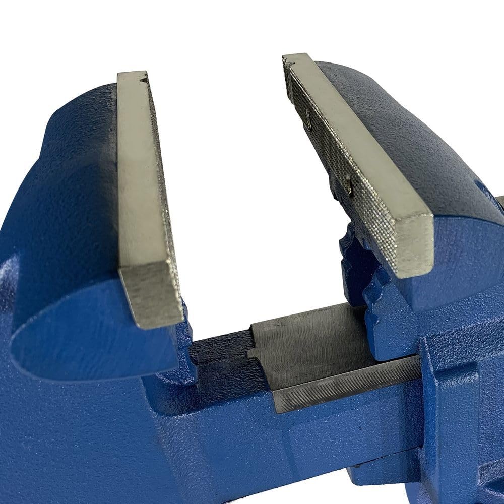 Baileigh 6 Inch Industrial Bench Vise